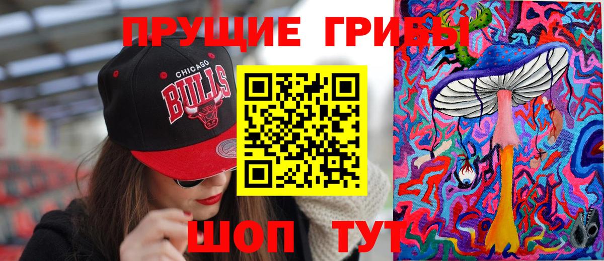 Галлюциногенные грибы Cubensis  Вход с VPN  Елабуга 
